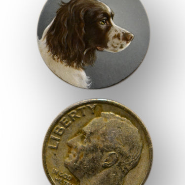 Beth de Loiselle Spaniel oil for  Charm