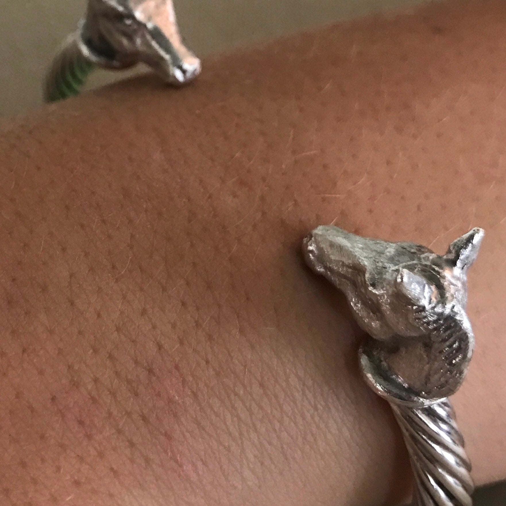 Pony Bangle by Paul Eaton