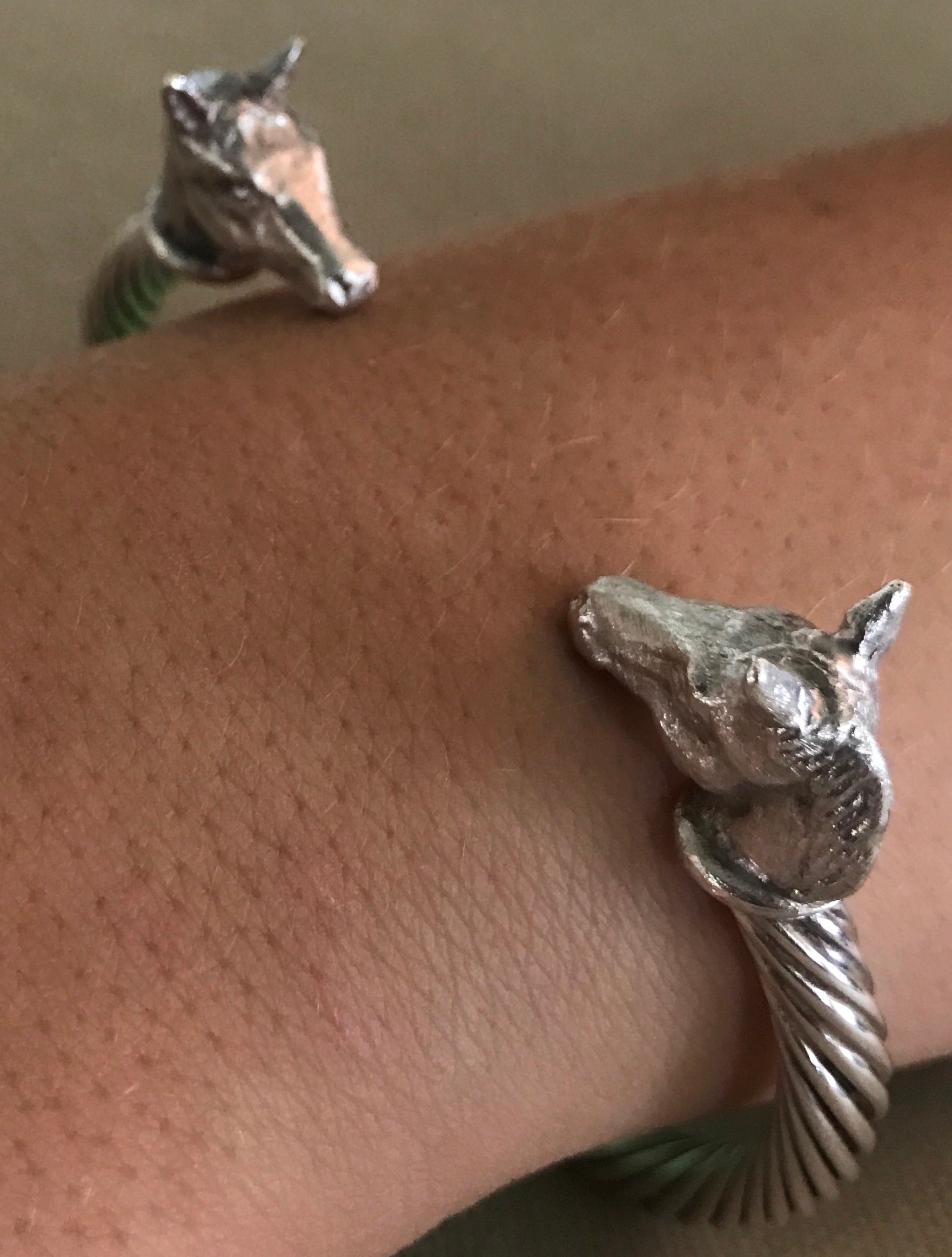 Pony Bangle by Paul Eaton