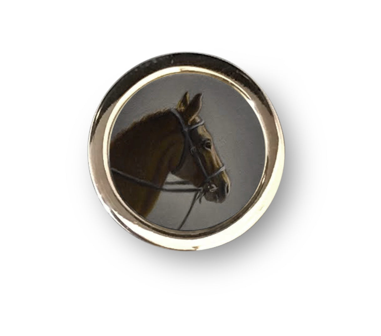 Beth de Loiselle horse oils in cufflinks